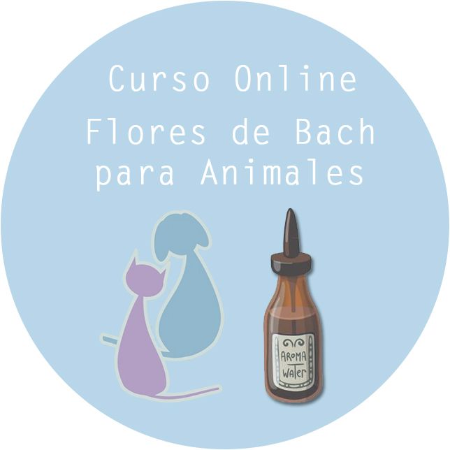 Curso Online Flores de Bach para Animales