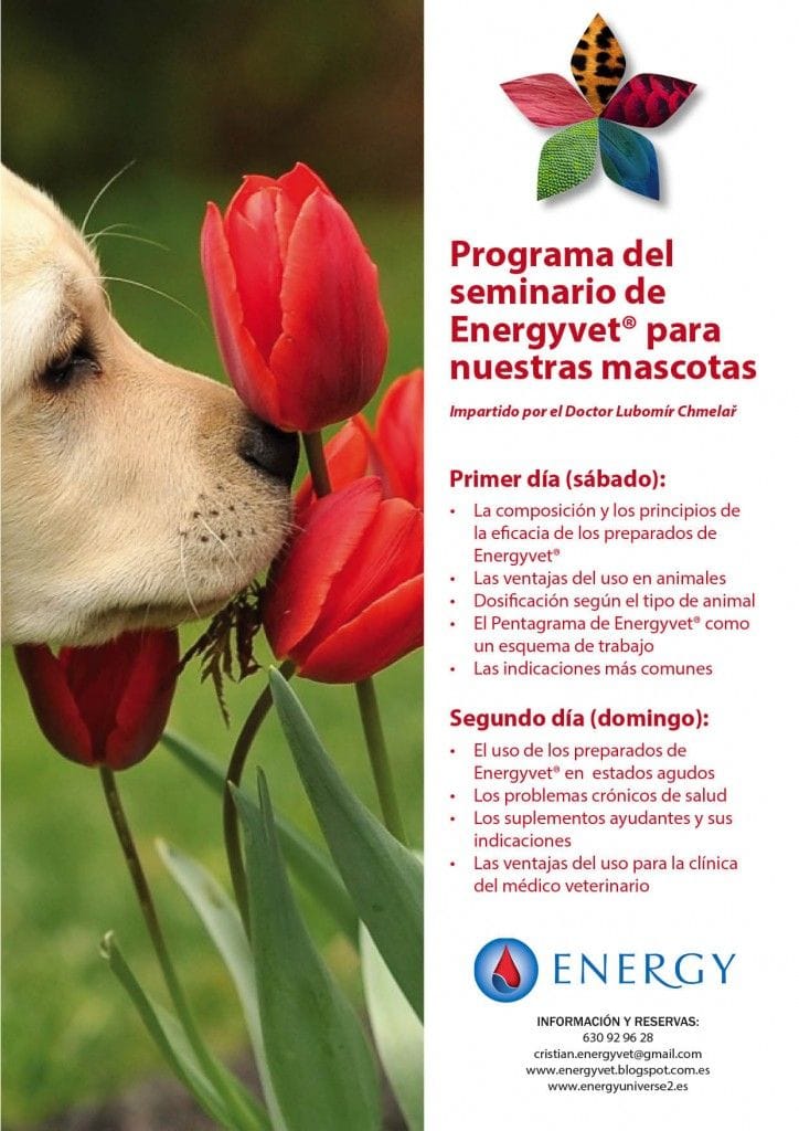Programa del seminario de Energyvet para nuestras mascotas