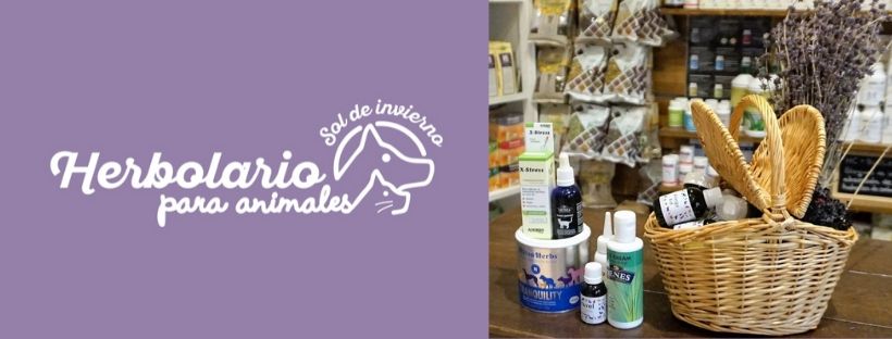 desparasitantes para personas con gastritis