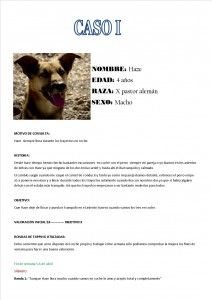 informe EFT1