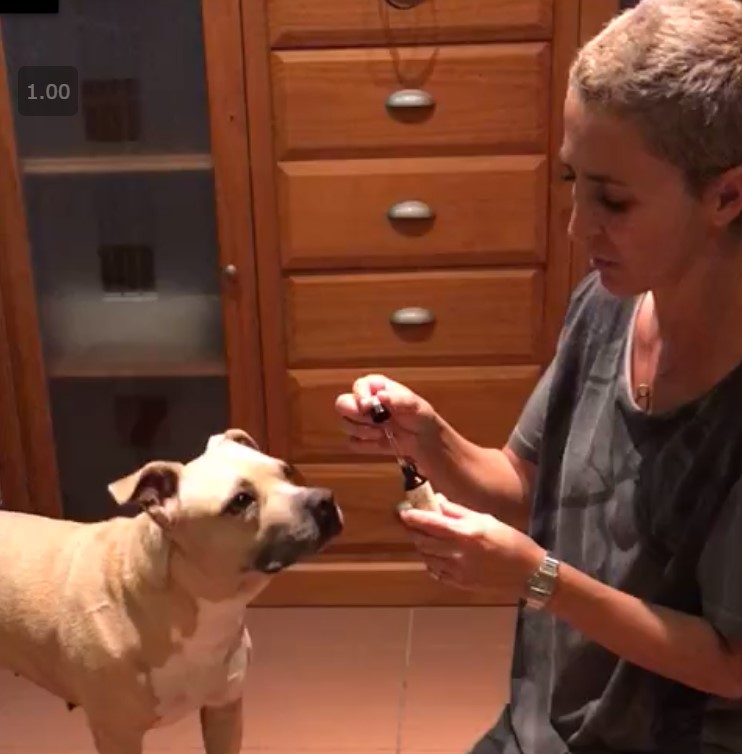 faoto tila perrita y su mami