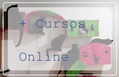 imatge costat web VNA mas cursos online