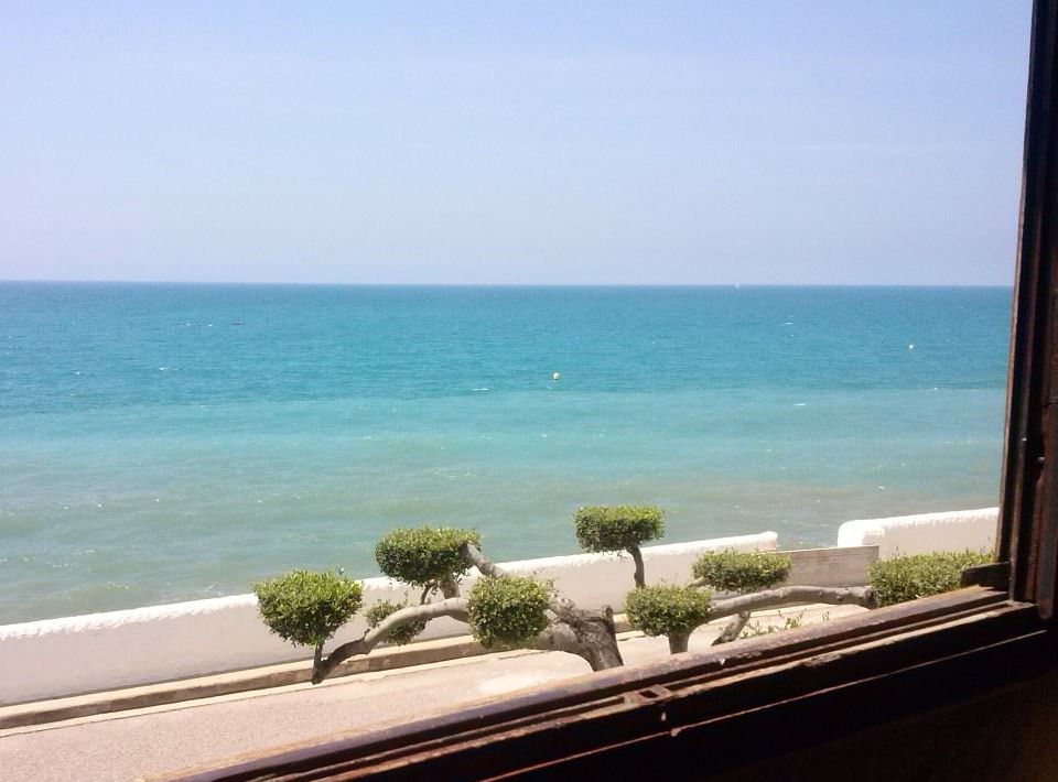cerca del mar, agua de mar