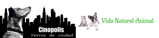 logos vna CNP