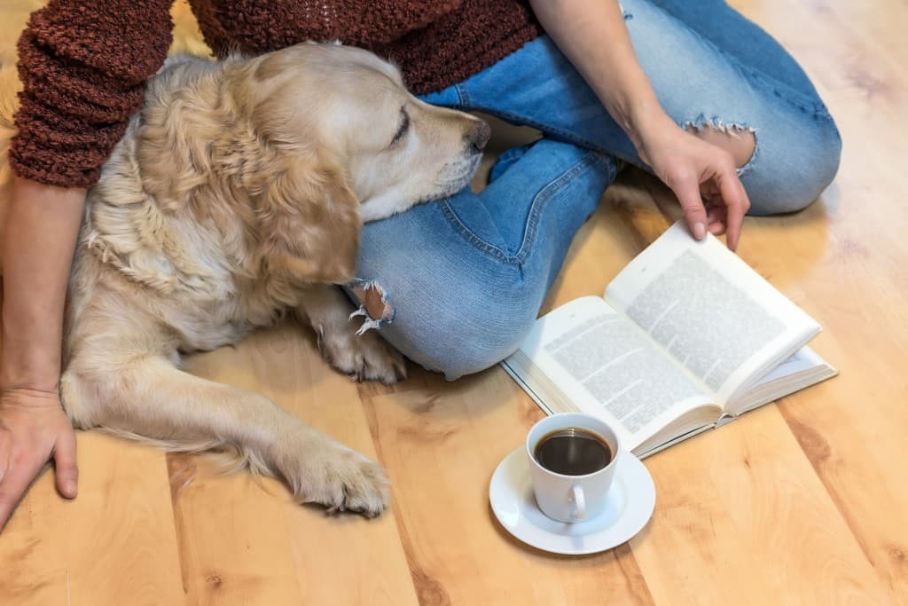 perro-humano-calma-lectura perro humano calma lectura