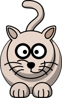 gato002