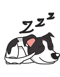 perro004