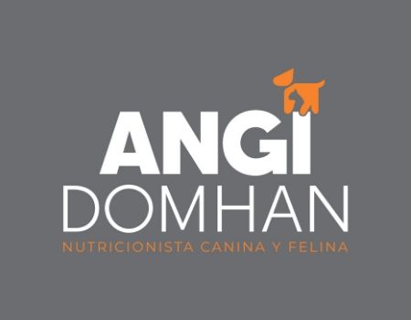 AngiDomhan 3 AngiDomhan