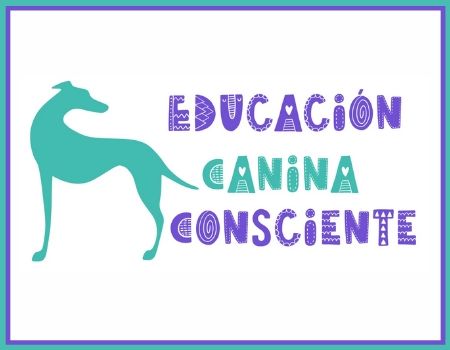 educacion canina consciente1 educacion canina consciente