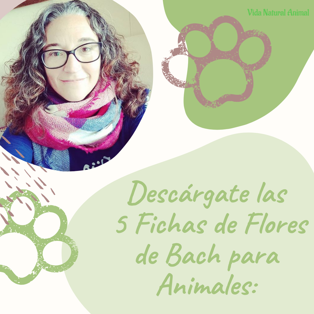 Descargate las 5 fichas FBA