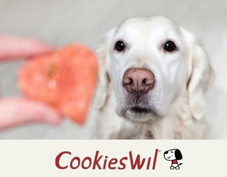 cookieswil 1 cookieswil