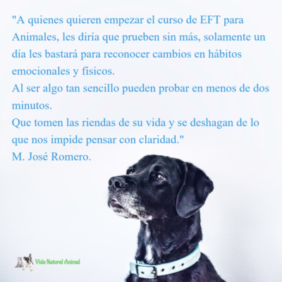 EFT testimonio Maria José Romero