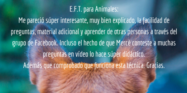 foto EFT testimonio