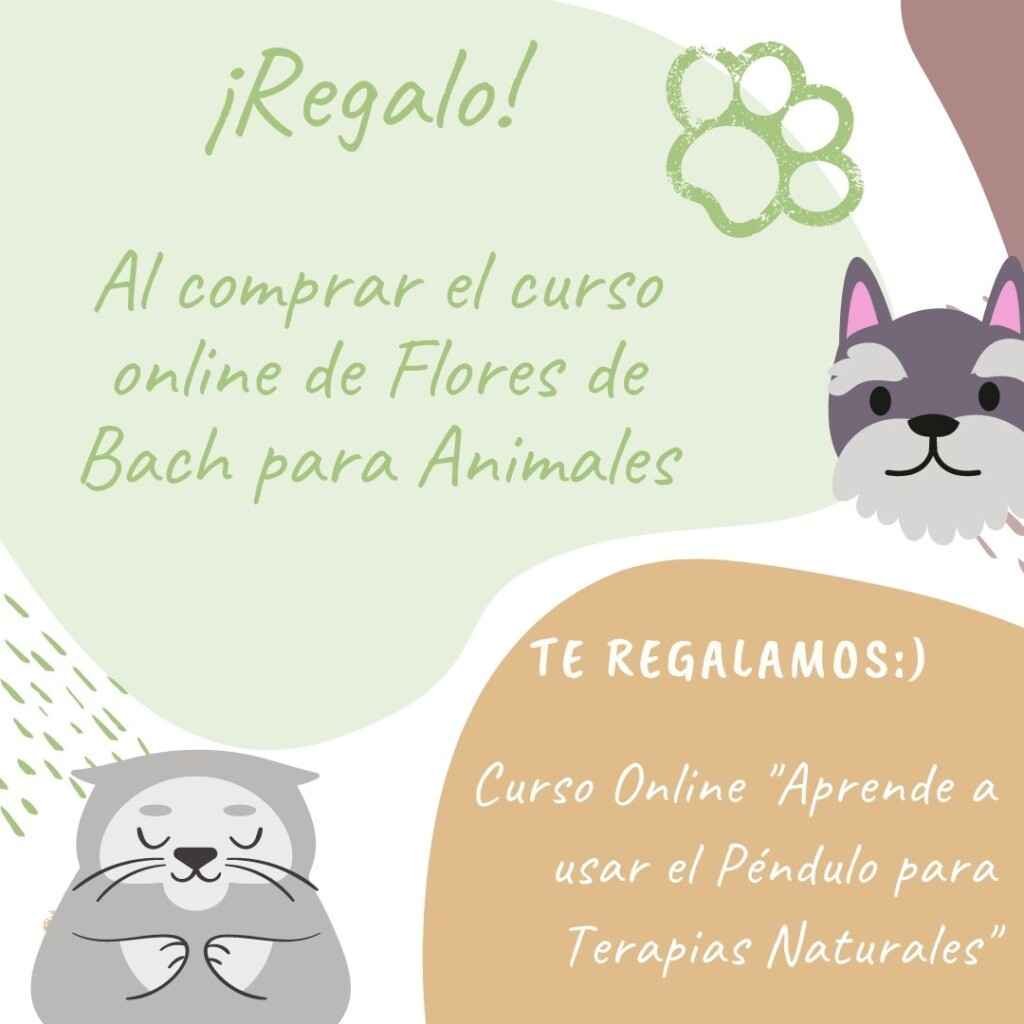 news oferta pendol fba