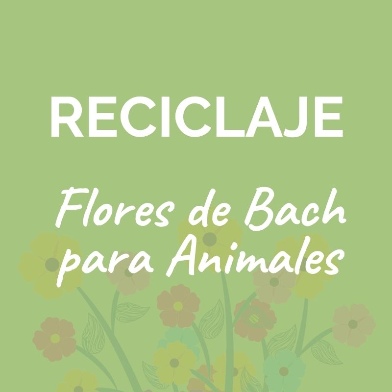 Reciclaje Flores de Bach