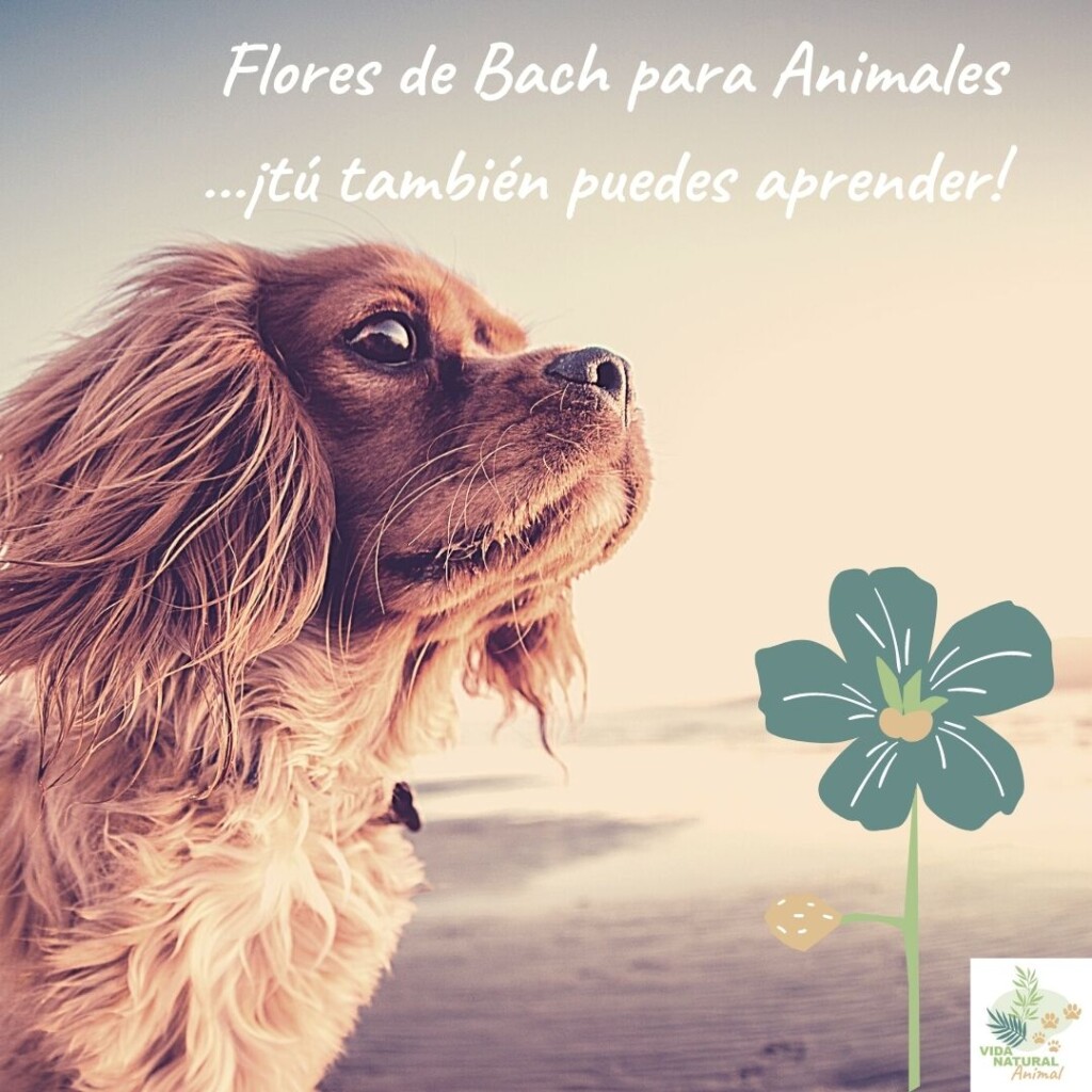 tu tambien puedes aprender