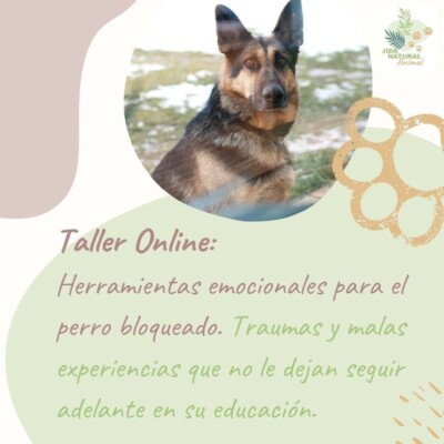 bonus para bienestar 360