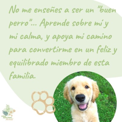 para la calma