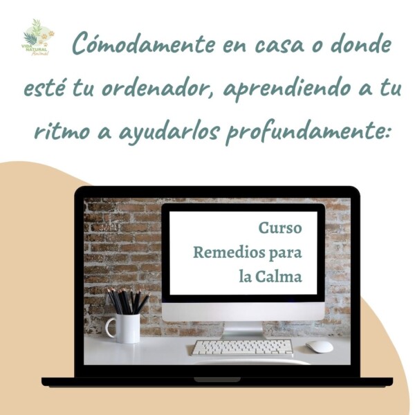remedios mockup