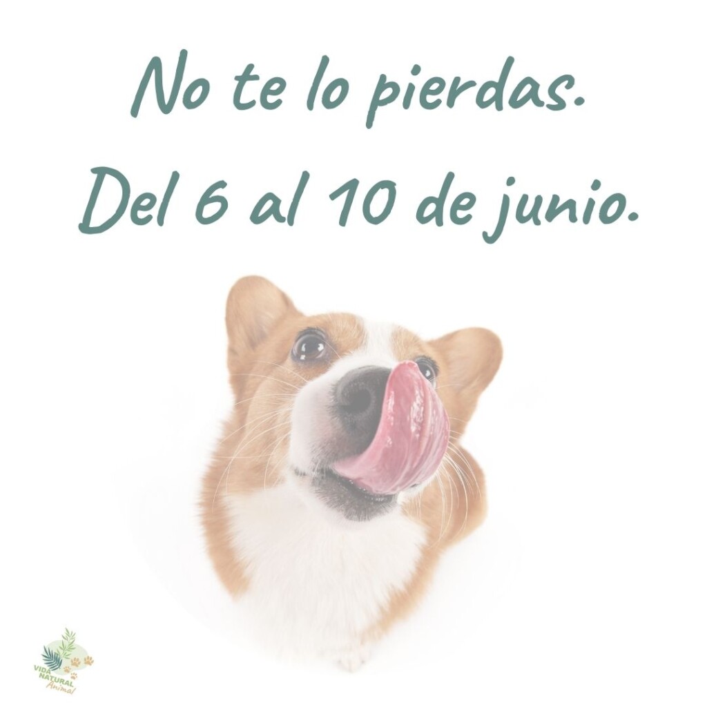 6 a 10 jun