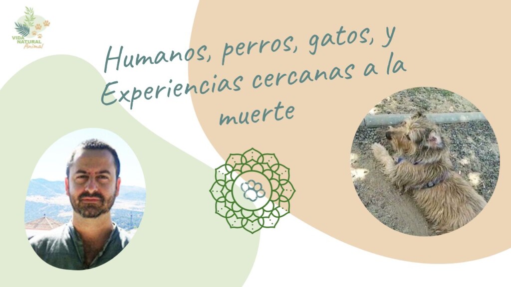 Webinario ECM Carlos gros