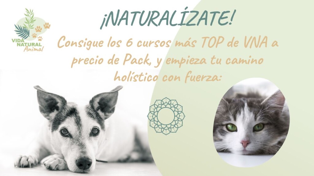 naturalizate